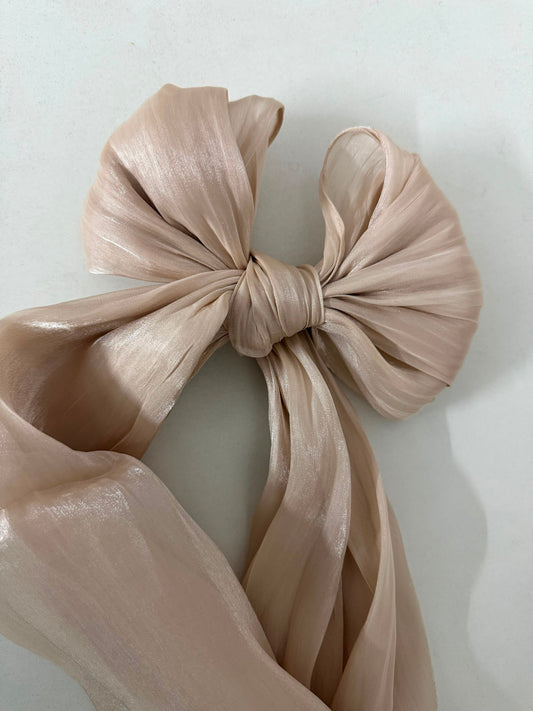 Champagne Shimmer organza